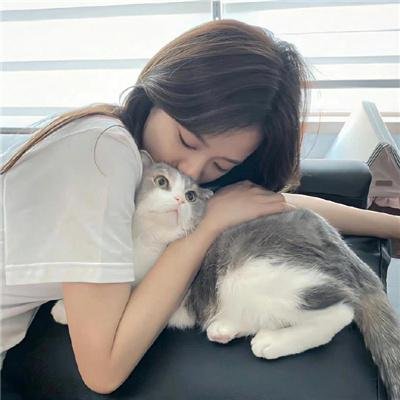 小岛奇谭