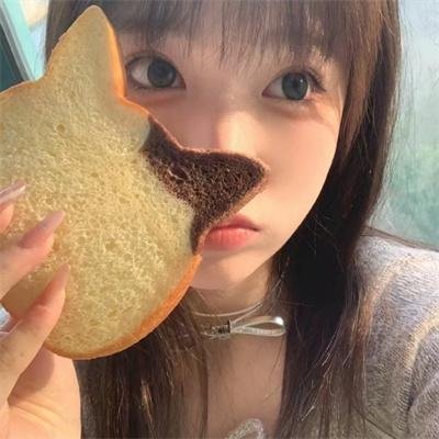 智叻狗仔队
